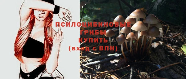 тгк Лихославль