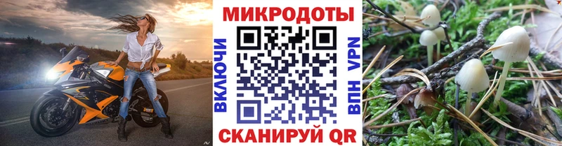 Псилоцибиновые грибы Psilocybe  Хабаровск 