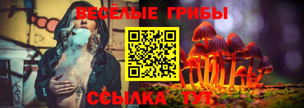 Хабаровск  Галлюциногенные грибы Cubensis  Вход с VPN  Псилоцибиновые грибы мухоморы 