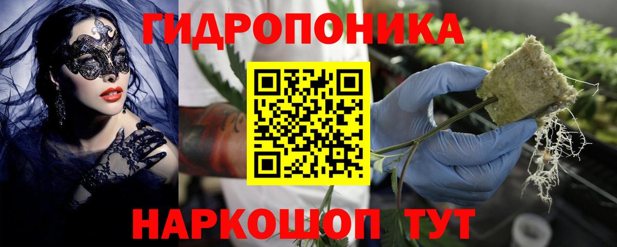 Конопля Bruce Banner Хабаровск